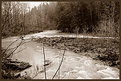 Picture Title - Barren Winter Creek