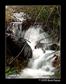 Picture Title - Waterfall