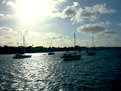 Picture Title - sailboats