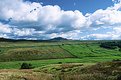 Picture Title - East Kingsdale, Yorkshire Dales, UK