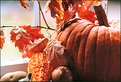 Picture Title - Fall Harvest