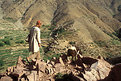 Picture Title - Berber Shepherd