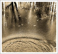 Picture Title - Textured Water