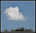 Picture Title - jailed cloud