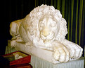 Picture Title - Dangerous Lion at Chatsworth