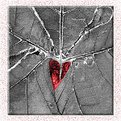 Picture Title - All Hearts Break & Bleed