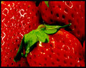 Picture Title - Strawberry Red