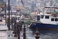 Picture Title - sariyer