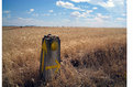 Picture Title - Milestone Camino de Santiago