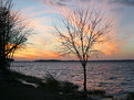 Picture Title - Reelfoot Lake Sunset