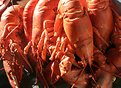 Picture Title - Lobster