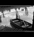 Picture Title - A little boat