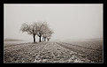 Picture Title - winter day