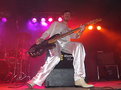 Picture Title - Babasonicos Bass