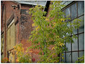 Picture Title - Oneonta 105