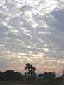 Picture Title - cloudy sky