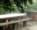 Picture Title - Tropical Rain (2)