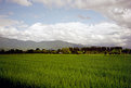 Picture Title - Upcountry