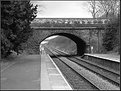 Picture Title - Bridge