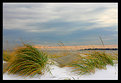 Picture Title - Snow Dunes