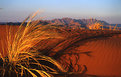 Picture Title - deserto namibiano