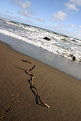 Picture Title - At a tilt