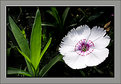 Picture Title - Natural colors