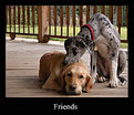 Picture Title - Friends