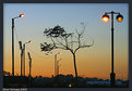 Picture Title - street light