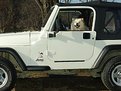 Picture Title - Jeep Hot Dogger