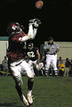 Picture Title - TD reception