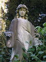Picture Title - "Adam"