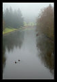 Picture Title - A Misty Morn