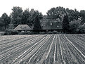 Picture Title - The farm