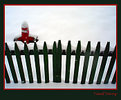 Picture Title - RED-GREEN-WHITE