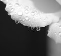 Picture Title - Rain on a Rose