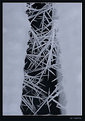 Picture Title - Ice Needles