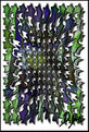 Picture Title - D. Art 58