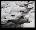 Picture Title - Winter Streamlet 