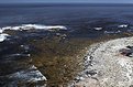 Picture Title - On Cape Point