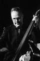 Picture Title - double bass player
