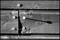 Picture Title - nails and shadows