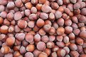 Picture Title - Nuts