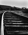 Picture Title - Tracks