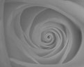 Picture Title - Soft Spiral