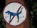 Picture Title - No Dogs Between...