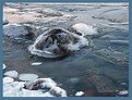 Picture Title - Between ice and water