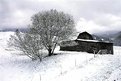 Picture Title - Country Winter