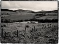 Picture Title - Pentlands landscape