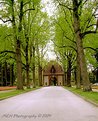 Picture Title - Spring arrives at Biltmore